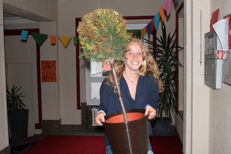 Village Camps International Summer Camp Leysin, Switzerland 2025-08-09 https://www.villagecamps.com/journals_admin/images/695-10-phobia (37).jpg